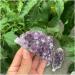 Natural raw Amethyst Quartz Crystal Gemstone Cluster metaphysicial Stone as Souvenir Stone Crystal Reiki - Buy Online on GoSupps.com