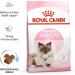Royal Canin Mother and Babycat Dry Cat Food 4kg - Buy Online on GoSupps.com