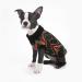 Buy Idepet Black Pet Sweater - Warm Winter Coat for Cats & Dogs | Cozy Pullover Jacket & Vest - Buy Online on GoSupps.com