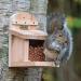 Jacobi Jayne Nutbox Squirrel Feeder - UK Garden Squirrel Feeder with Quick Release Mount - Buy Online on GoSupps.com