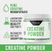 Probase Nutrition Creatine Powder 300 Grams - Buy Online on GoSupps.com