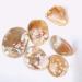 Crystal Rough 1pc raw Natural Rough Uncut Agate Quartz Crystal Gemstone for Astrology - Buy Online on GoSupps.com