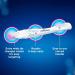 Clearblue Ovulation & Pregnancy Tests - Trying for a Baby Kit | Proven Results | 10 Digital Ovulation Tests & 2 Ultra Early Pregnancy Tests - Buy Online on GoSupps.com