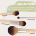 Parsa Beauty Eyeshadow & Blender Brush - FSC Certified Bamboo Makeup Brush for Flawless Eye Artistry - Buy Online on GoSupps.com