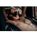 2-Count Chest Seal Vented for Open Sucking Chest Wounds | Emergency Medical Supplies - Buy Online on GoSupps.com