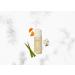 ESPA Balancing Foam Cleanser 150ml | Deeply Cleanse & Remove Make-Up | International Shipping Available - Buy Online on GoSupps.com