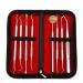 Tooth Cleaning Kit 8pcs Oral Care Dental Tools Stainless Steel Dental Probe Pick Tool Scraper Tooth Stains Remover Mouth Mirror