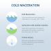 IOPE Cica Face Cream 1.69 FL.OZ - Centella Madecassoside Day/Night Moisturizer for Skin Barrier, Paraben-Free - Buy Online on GoSupps.com