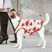 Buy 2 Piece Cotton Dog T-Shirts | Breathable & Lightweight Summer Vests for Small Dogs | Cute Fruit Prints for Chihuahuas & Puppies - Buy Online on GoSupps.com