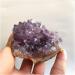 Amethyst Rough Stone Natural Big Raw Amethyst Quartz Purple Crystal Cluster Stones Specimen Home Decoration Crafts Amethyst Cluster Ornament Full of Texture (Color : Purple Size : 240-280g) 240-280g Purple - Buy Online on GoSupps.com