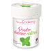 Natural Food flavouring Powder 15 g - Mint