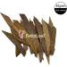 BettaLeaf Comfort Zone for Fish Indian Almond Leaves Slice in Pieces Leaf Ready to use 45 Grams Pack (80 100 Pieces) | Best Gold Brown Quality | Fish Tank for Betta Fish Shrimp Crayfish for Healthy - Buy Online on GoSupps.com