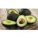 Yumma Avocado Guacamole With Hass Avocado - Mild - 2 Oz. - Buy Online on GoSupps.com