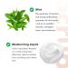 Ra w Esse ntials Scrub Exfoliating Face Scrub 100g Apricot Granules With Natural Aloevera Liquid & Menthol Cooling - Buy Online on GoSupps.com