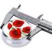 Poppy Flowers Round Pill Box | 3 Compartment Portable Travel Organizer for Vitamins & Medicine - Buy Online on GoSupps.com