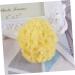 Healeved 1pc Bath Shower Sponge Sea Sponge Bath Sponge Folding Comb Men Sponge for Bathing Exfoliating Face Sponge Exfoliating Sponge Seaweed Sponge Sponges Baby Algae Sponge Take a Bath - Buy Online on GoSupps.com