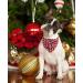 Shop Lionet Paws Christmas Dog Bandana - Triangular Headscarf for All Sizes - Santa Claus Design for Festive Pets - Buy Online on GoSupps.com