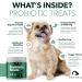 Petpal Probiotic for Dogs & Puppies - Great Poop - No Scoot Digestive Health Gut Diarrhea Bowel Support Relief - Supplement & Vitamin - 90 Soft Chew Treats Immune System. - Buy Online on GoSupps.com