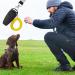 Miralith 2 Pack Dog Clicker for Dog Training Cat Training Pet training remote with lanyard Cats Birds Puppy Recall Portable and Efficient Clickers for Dogs Puppies Cats - Buy Online on GoSupps.com
