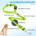 Slowton Dog Car Belt - 2-in-1 Adjustable Headrest Retention & Bucket Belt with Universal Buckle Reflective Rubber Band J.Limette Green - 2PCs (Headrest + Clip) for Safe International Travel - Buy Online on GoSupps.com