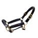 Aces Equine LEATHER HORSE HEADCOLLAR HALTER FULLY RAISED AND PADDED BLACK COLOR BRASS FITTING COB