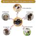 Valfrid Anti-Slip Paw Protection for Dogs - 48 Self-Adhesive Silicone Gel Pads Non-Slip Traction Dog Shoes Multicolor Size S (0-5kg) - Buy Online on GoSupps.com