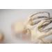 Good Dee's Frosting Mix Cream Cheese - Sugar-Free, Gluten-Free, 8.2 oz | Perfect for Baking! - Buy Online on GoSupps.com