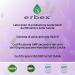  ERBEX essere e benessere Erbex Selatuss Cough Syrup for Adults and Children - Dietary Supplement with Drostery Purple Iceland Lichen Coneflower - 3+ Years - No Alcohol Flavours and Dyes - 10 ml 3/4 Times a Day - Buy Online on GoSupps.com