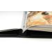 Pina Zangaro Adhesive Hinge Strips 8.5 10-Pack (71801) - 8.5 Inch - Buy Online on GoSupps.com