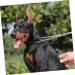 Buguuyo Sticker - 1 Pair N-ear Stands Earrings for Pets | Trendy Pet Accessories Worldwide - Buy Online on GoSupps.com