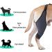 Dog Knee Brace for Hind and Rear Leg Knee Brace for Dog Support for Dog ACL CCL Cruciate Ligament Injury Joint Pain and Muscle Sore(XL/Right) - Buy Online on GoSupps.com
