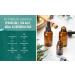 Tea Tree Peppermint MSM Epsom Salt Foot Soak | Relieves Athlete's Foot, Burning, Itching & Odor | Softens Calluses | Soothing All-Natural Formula | Made in USA | Purely Northwest | 2 LB - Buy Online on GoSupps.com