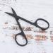 Black Stainless Steel Scissor Eyebrows Nose Hair Beard Scissor Beauty Tool Nose Hair Scissors fingernail Scissors Small Grooming Scissors(Nose Hair Scissor) Professional - Buy Online on GoSupps.com