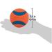 Chuckit! Ultra Ball Dog Toy Medium - Pack of 2 Balls - Buy Online on GoSupps.com