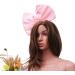 FRCOLOR Huge Bow Headband Bowknot Hair Hoop Halloween Christmas Hair Band Hoop Party Hair Accessories for Woman Girl (Pink) - Buy Online on GoSupps.com