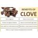 Geo-Fresh Organic Clove - 40g (Pack of 2) - Buy Online on GoSupps.com