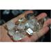for Natural White Crystal Stones and Minerals Diamond Clear Quartz Crystal Diamond Rough Gem Raw Stones and Minerals (Color : Light Grey Size : 2-3cm) 2-3cm Light Grey - Buy Online on GoSupps.com