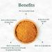 SPICE TRAIN Lakadong Organic High Curcumin Turmeric Powder 8oz - 100% Raw from India | Premium Quality & Aroma, Resealable Pouch - Buy Online on GoSupps.com