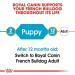 Royal Canin French Bulldog Puppy Dry Puppy/Junior Food 10kg Variety 10 kg (Pack of 1) - Buy Online on GoSupps.com