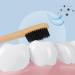 EXCEART Bamboo Toothbrushes - 10pcs Soft Bristles Natural Eco-Friendly Dental Care - Buy Online on GoSupps.com