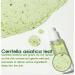 RiRe Green Calming Centella Asiatica Ampoule 30ml - Non-Sticky Daily Care for Calming & Moisture Barrier - Buy Online on GoSupps.com