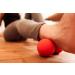 Double Fascia Ball | 8cm Silicone Massage Ball for Self-Massage Fascia Training & Muscle Relaxation | Peanut Ball Globo - Purple Green | International Shipping Available - Buy Online on GoSupps.com