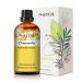 PHATOIL Chamomile Essential Oil 30ML Therapeutic Grade 100% Pure Natural Essential Oils Diffusers Home Perfect Aromatherapy Relaxation Improved Mood Pack of 1 Chamomile 30.00 ml (Pack of 1)