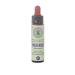 Wild Rose n 37 Fleur de Bach farmaflor 1 Flacon Comtpe Gouttes 10ml - Made in Italy