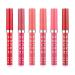Tebinzi 6 Waterproof Matte Liquid Lipsticks for Women Girls and Girls by Tebinzi