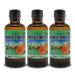 Germa Arnica Tincture. Topical Analgesic. Great for Joint Pain Body Aches and Counterirritant for Bruises. Helps You Maintain a Healthy Skin. 1.7 oz. Pack of 3