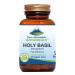 Pure Mountain Botanicals Holy Basil Capsules - Kosher Vegan Caps with 450mg Organic Holy Basil Tulsi & Holy Basil Extract from India