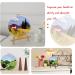 Needle Felting Starter Kit for Beginners - DIY Wool Set with Picture Frame & Instructions for Home Decoration - Beginner Art Craft (2 Sets) - Buy Online on GoSupps.com