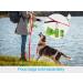 Taglory Light Dog Leash for Small Dogs | Reflective Double-Sided | Padded Handle | 1.8m x 2cm | Up to 10kg - Red - Buy Online on GoSupps.com