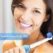 16 Pieces Sensitive Plug Brushes for Oral-B Electric Toothbrushes | Soft Bristles for Gentle Cleaning - 1 Pack - Buy Online on GoSupps.com